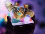 Senate bill to outlaw online gambling