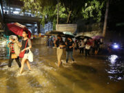 Philippines’ leptospirosis cases rise by 36%