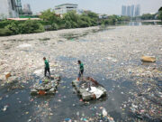 CMA CGM, Plastic Flamingo renew waste deal