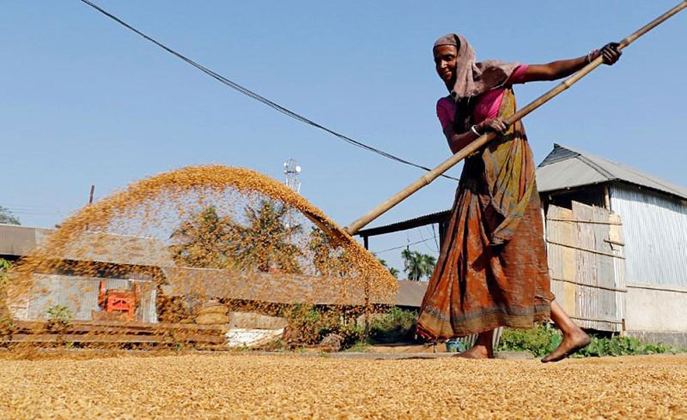 India-women-rice mill