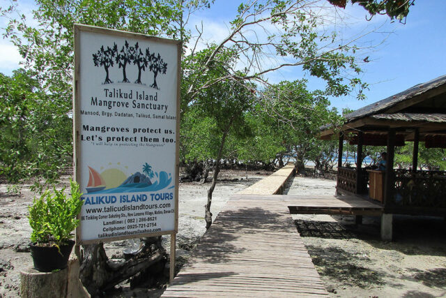 Mangrove-Sanctuary-Samal-BW-FILE