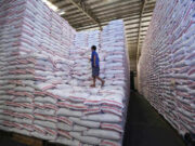 Gov’t to raise rice buffer stock