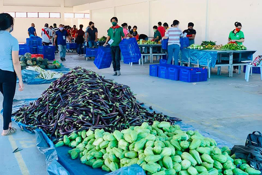 davao-terminal-credit-davao-city-agri-office