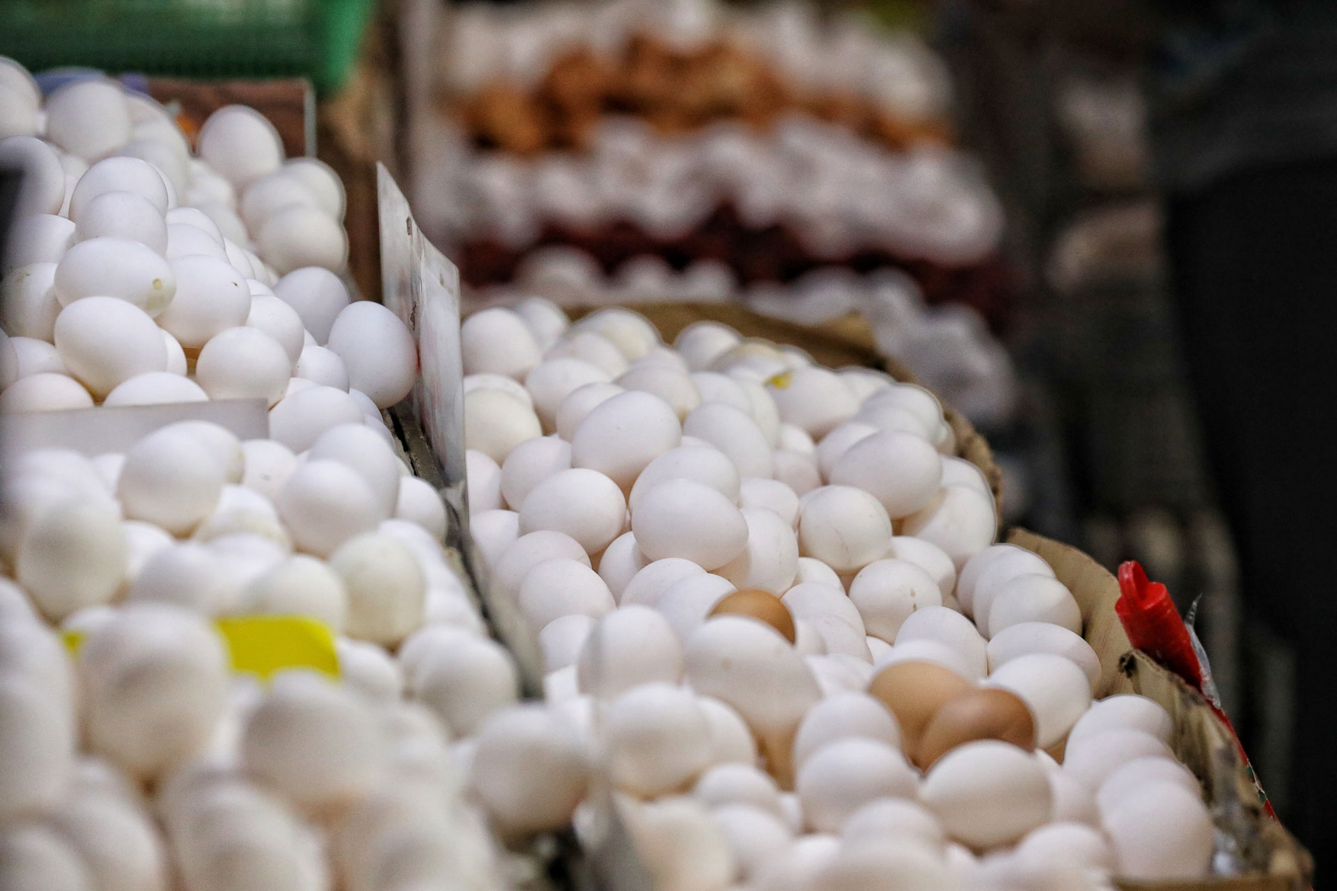 Egg prices seen rising further on bird flu impact BusinessWorld Online