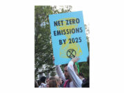 Corporate climate pledges rife with greenwashing — UN expert group