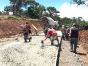 Court sides with senator on forgery in pork barrel case