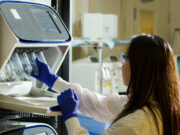 Untapped job-creation potential seen in sciences, biotechnology