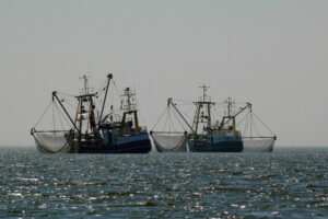US sanctions individuals, entities over China-based illegal fishing