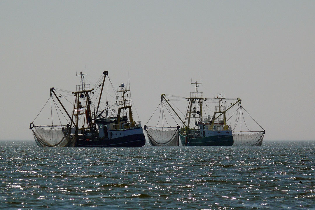 sea-coast-water-ocean-boat-lake