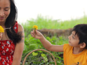 Lovely local lullabies for the little ones