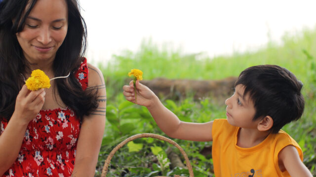 Milo Tolentino - HELE