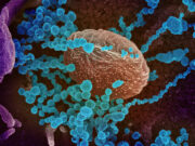 More effective COVID-19 vaccines arriving in March