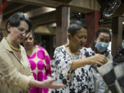 Warp and weft of life