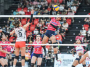 Creamline banks on Galanza as it battles Army Black Mamba