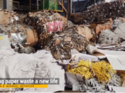 Recycling Business Waste
