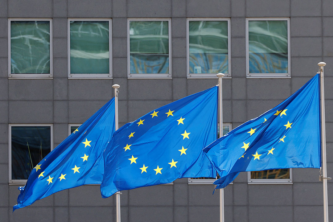 European Union flags