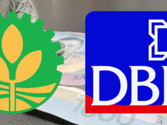 LANDBANK-DBP merger eyed before yearend