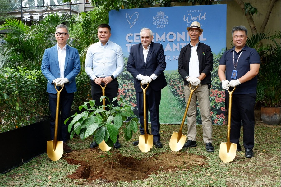 A coffee tree grows in Newport World Resort BusinessWorld Online