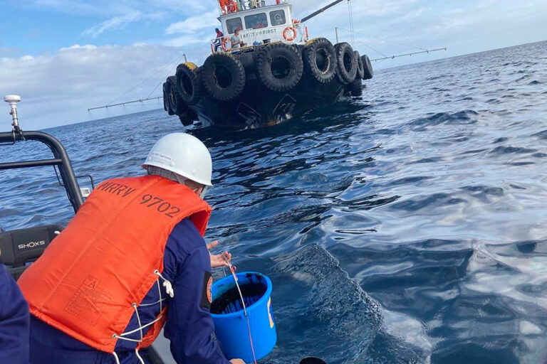 Oil spill clouds prospects of resorts, marine parks along Verde Island