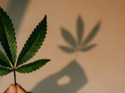 Medical marijuana bill hurdles Senate panel