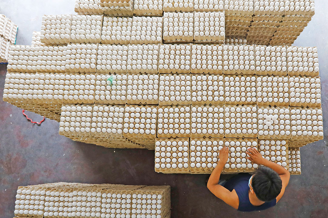 eggs-vendor