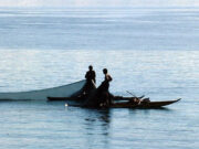 OceanX to help Philippines understand fishery sector, apply for blue carbon credits