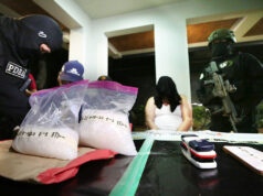 PDEA opposes Senate abolition plan