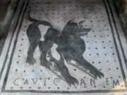 Caveat emptor: a new book on the best lines in Latin misses the bigger picture