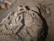 Archaeologists in Peru find adolescent mummy wrapped in bundle