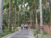 An ounce of prevention