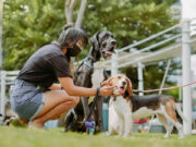 EntertainmentNews (04/11/23)