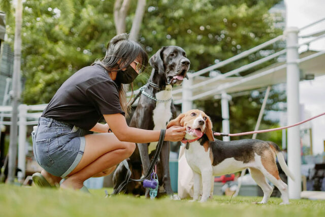 With-Pet-Huddle,-your-pets'-health-and-happiness-is-of-utmost-importance