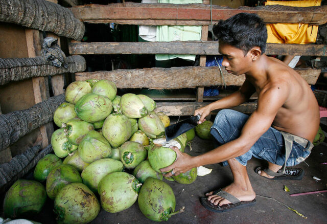 coconut-worker