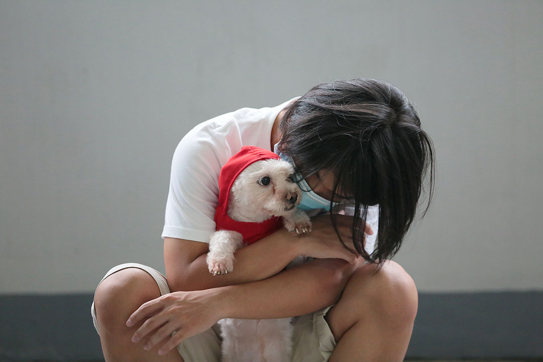 pet-dog