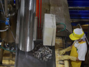 PHL manufacturing output expands in August