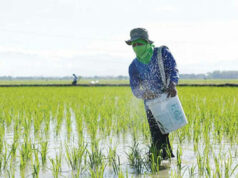 Manila says China has said it will not restrict fertilizer exports to the Philippines