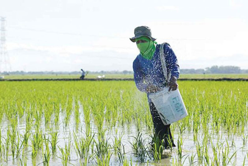 Farmer-fertilizer