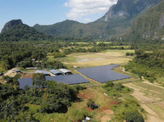 How to Build Better More: Solar power and agri consolidation