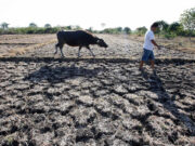 Extreme heat driving regional disaster risk — UN