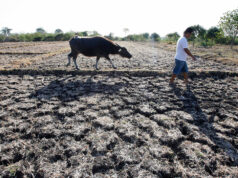 Extreme heat driving regional disaster risk — UN