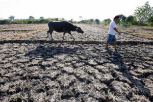 PHL vulnerable to inflationary pressures induced by El Niño