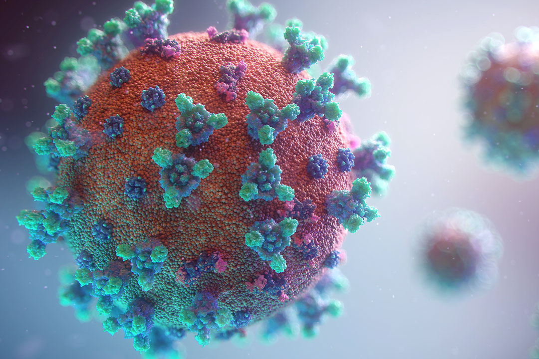 coronavirus