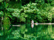 Protesters force their way into COP30 summit venue, clash with security