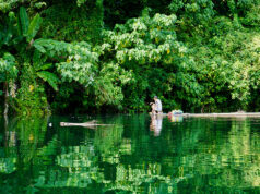 Protesters force their way into COP30 summit venue, clash with security