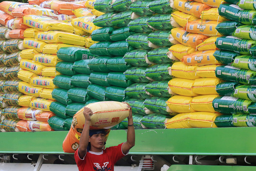 rice-worker