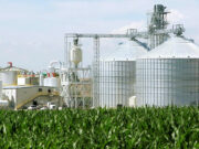 DA wants safeguards against imports of PHL biofuel firms