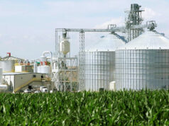 Bill liberalizing biofuel imports finds Senate plenary support