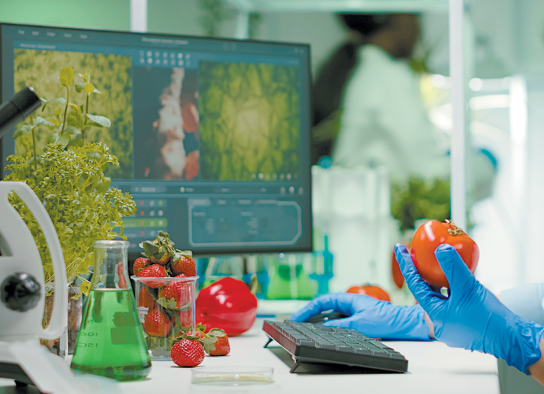 SF_pharmaceutical-chemist-examining-tomato-microbiology-OL