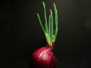 To rein in food inflation, we must reform our implementation of Sanitary and Phytosanitary Measures