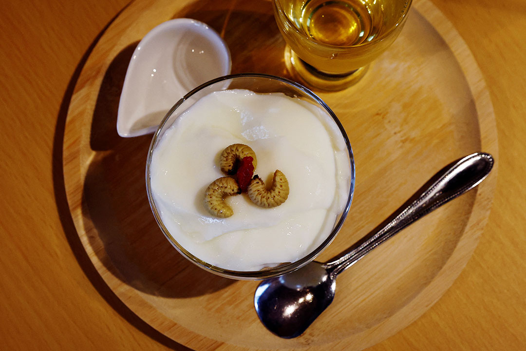 Japan-insect food